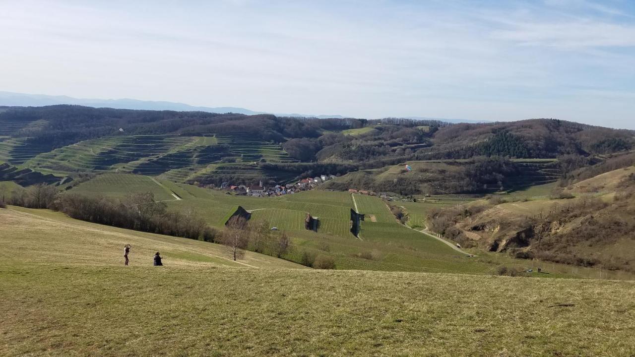 Ferienwohnung Sonnenschein Rheinhausen Dış mekan fotoğraf