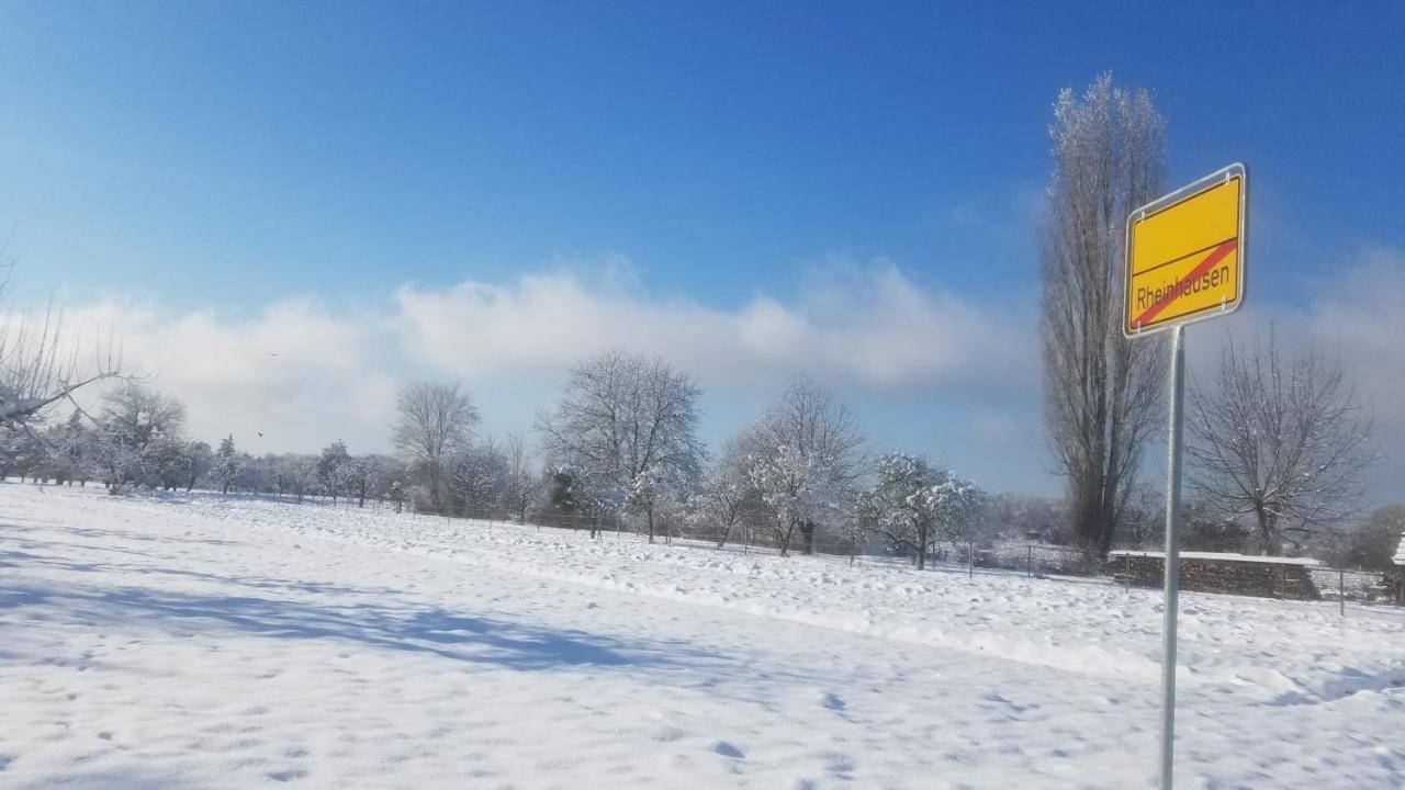 Ferienwohnung Sonnenschein Rheinhausen Dış mekan fotoğraf