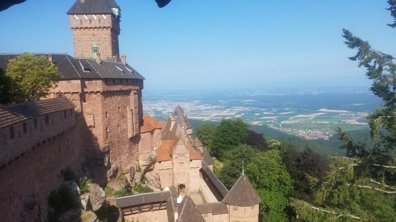 Ferienwohnung Sonnenschein Rheinhausen Dış mekan fotoğraf
