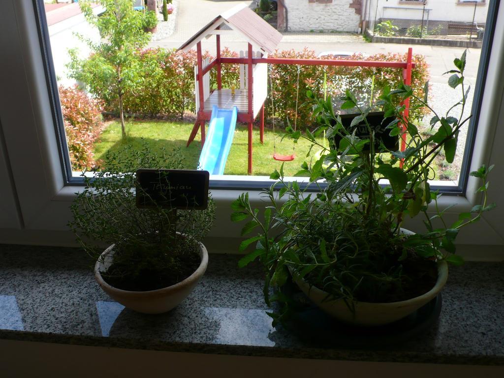 Ferienwohnung Sonnenschein Rheinhausen Dış mekan fotoğraf